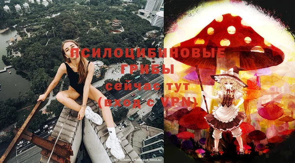 индика Алексеевка