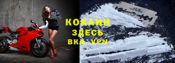 индика Алексеевка