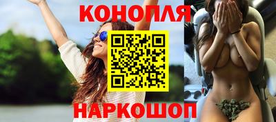 молекула духа Донецк