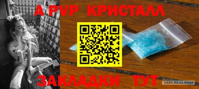 молекула духа Донецк