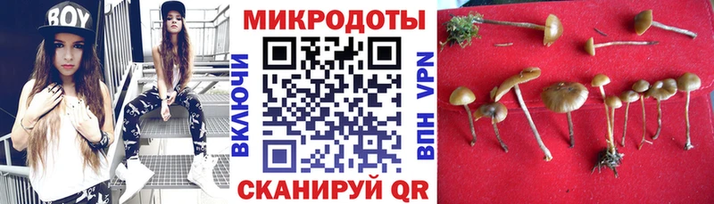купить  цена  Чернушка  Псилоцибиновые грибы MAGIC MUSHROOMS 