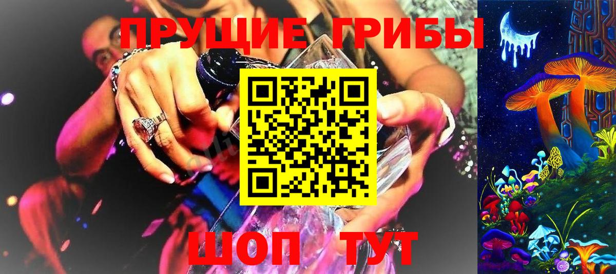 Псилоцибиновые грибы мицелий  Галлюциногенные грибы Psilocybine cubensis  Чернушка  Вход с VPN 