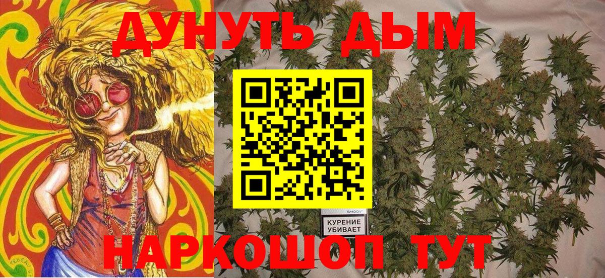 МАРИХУАНА сатива  Вход с VPN  Каннабис гибрид  Чернушка 